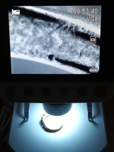 Celestron infiniview lcd - infiniview,